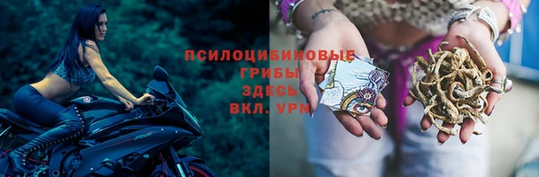 spice Армянск