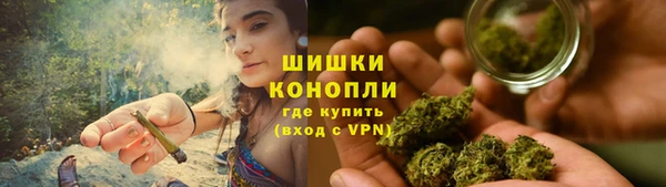 стаф Арсеньев