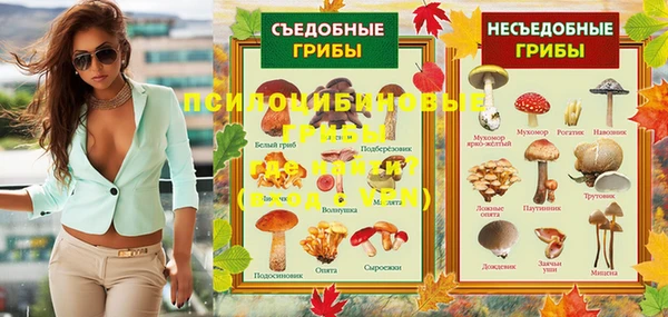 spice Армянск