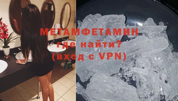 шишки Белокуриха