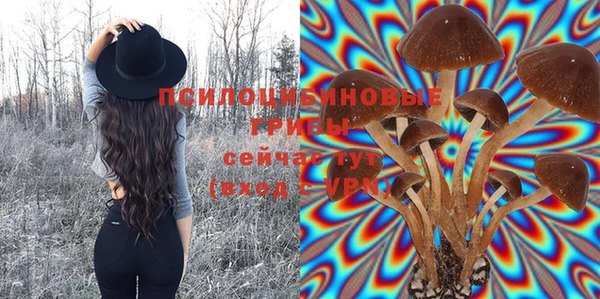 гашик Белоозёрский
